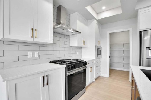 71 Homestead Circle Ne, Calgary, AB - Indoor Photo Showing Kitchen With Upgraded Kitchen