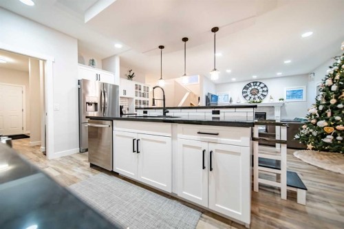 42 Copperfield Point Se, Calgary, AB - Indoor Photo Showing Kitchen With Upgraded Kitchen