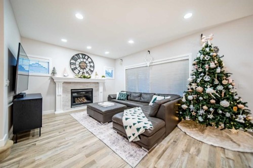 42 Copperfield Point Se, Calgary, AB - Indoor Photo Showing Living Room With Fireplace