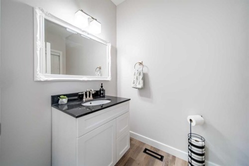 42 Copperfield Point Se, Calgary, AB - Indoor Photo Showing Bathroom