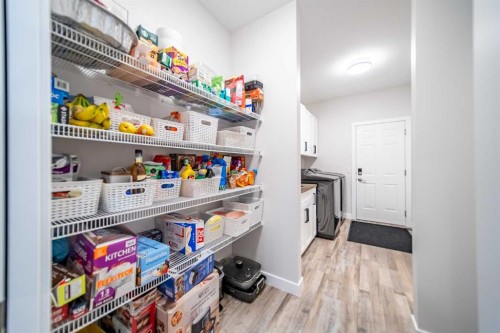 42 Copperfield Point Se, Calgary, AB - Indoor With Storage