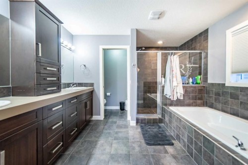 42 Copperfield Point Se, Calgary, AB - Indoor Photo Showing Bathroom
