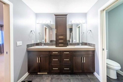 42 Copperfield Point Se, Calgary, AB - Indoor Photo Showing Bathroom