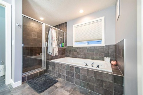 42 Copperfield Point Se, Calgary, AB - Indoor Photo Showing Bathroom
