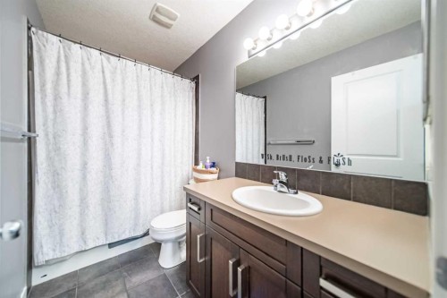 42 Copperfield Point Se, Calgary, AB - Indoor Photo Showing Bathroom