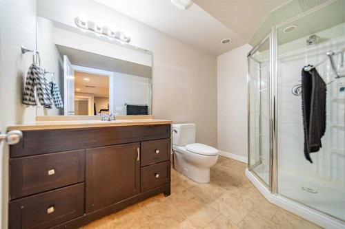 42 Copperfield Point Se, Calgary, AB - Indoor Photo Showing Bathroom