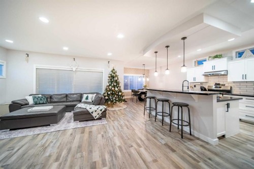 42 Copperfield Point Se, Calgary, AB - Indoor Photo Showing Kitchen With Upgraded Kitchen