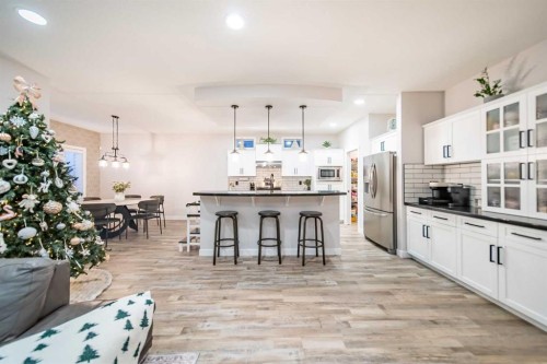 42 Copperfield Point Se, Calgary, AB - Indoor Photo Showing Kitchen With Upgraded Kitchen