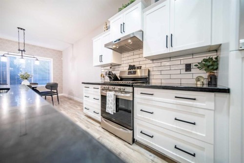 42 Copperfield Point Se, Calgary, AB - Indoor Photo Showing Kitchen With Upgraded Kitchen