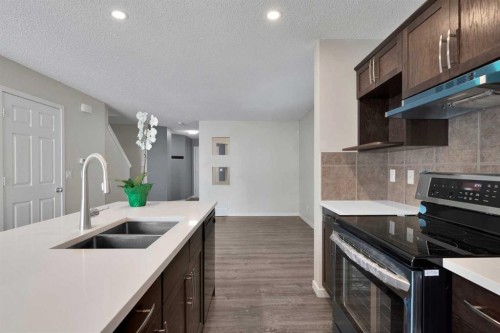 203 Cranberry Green Se, Calgary, AB - Indoor Photo Showing Kitchen With Double Sink With Upgraded Kitchen