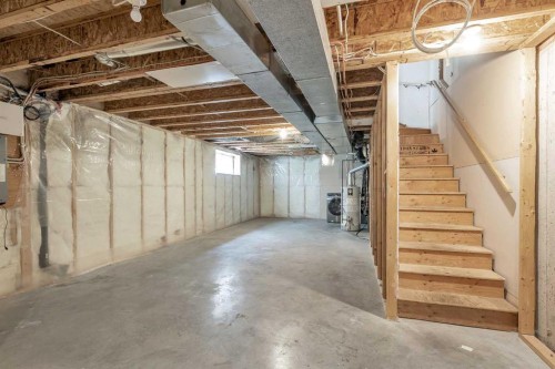 203 Cranberry Green Se, Calgary, AB - Indoor Photo Showing Basement