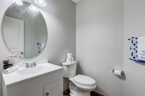 149 Coventry Court Ne, Calgary, AB - Indoor Photo Showing Bathroom