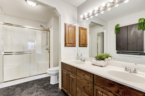 149 Coventry Court Ne, Calgary, AB - Indoor Photo Showing Bathroom