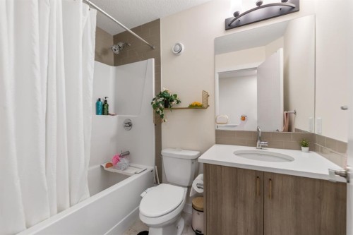 366 Seton Villas Se, Calgary, AB - Indoor Photo Showing Bathroom