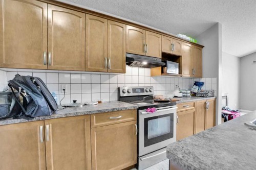 250 Martinwood Place Ne, Calgary, AB - Indoor Photo Showing Kitchen