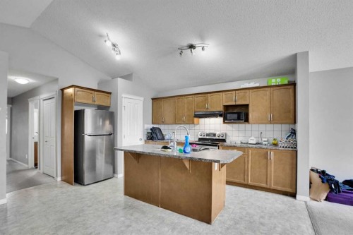 250 Martinwood Place Ne, Calgary, AB - Indoor Photo Showing Kitchen With Double Sink