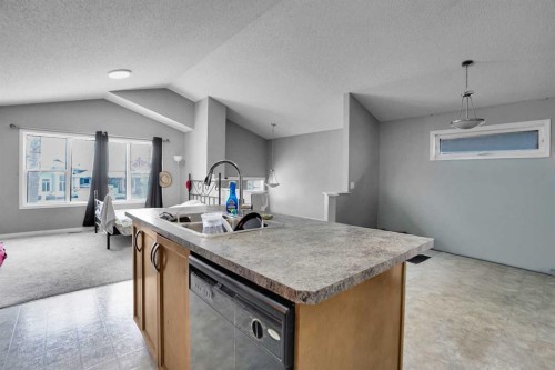 250 Martinwood Place Ne, Calgary, AB - Indoor Photo Showing Kitchen With Double Sink