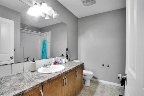 250 Martinwood Place Ne, Calgary, AB - Indoor Photo Showing Bathroom