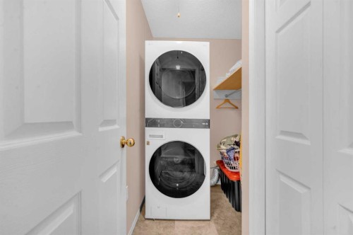 131 Coral Springs Circle Ne, Calgary, AB - Indoor Photo Showing Laundry Room