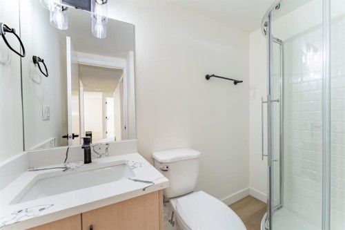 344 Templeview Drive Ne, Calgary, AB - Indoor Photo Showing Bathroom