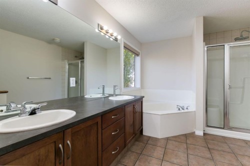186 Copperfield Close Se, Calgary, AB - Indoor Photo Showing Bathroom