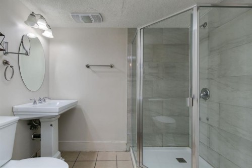 186 Copperfield Close Se, Calgary, AB - Indoor Photo Showing Bathroom
