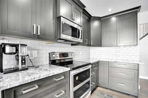 33 Douglasbank Rise Se, Calgary, AB - Indoor Photo Showing Kitchen With Upgraded Kitchen