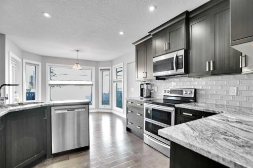 33 Douglasbank Rise Se, Calgary, AB - Indoor Photo Showing Kitchen With Upgraded Kitchen
