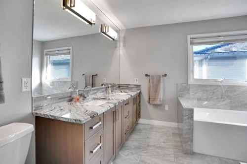 33 Douglasbank Rise Se, Calgary, AB - Indoor Photo Showing Bathroom