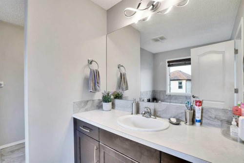 124 Skyview Shores Road Ne, Calgary, AB - Indoor Photo Showing Bathroom