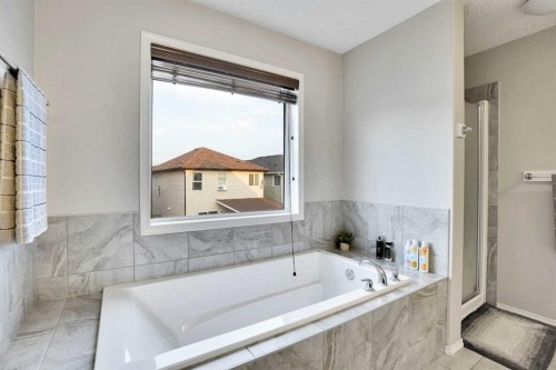 124 Skyview Shores Road Ne, Calgary, AB - Indoor Photo Showing Bathroom