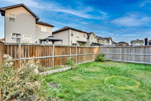 124 Skyview Shores Road Ne, Calgary, AB - Outdoor