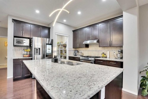 124 Skyview Shores Road Ne, Calgary, AB - Indoor Photo Showing Kitchen With Stainless Steel Kitchen With Double Sink With Upgraded Kitchen