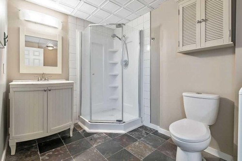 20 High Ridge Close Nw, High River, AB - Indoor Photo Showing Bathroom