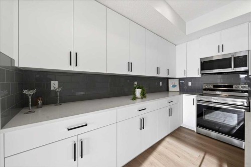 325-245 Edith Place Nw, Calgary, AB - Indoor Photo Showing Kitchen