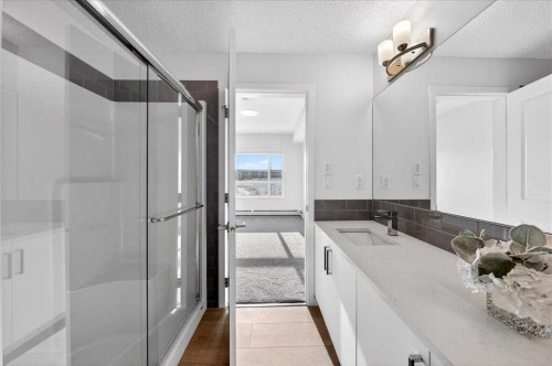 325-245 Edith Place Nw, Calgary, AB - Indoor Photo Showing Bathroom