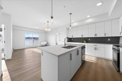 325-245 Edith Place Nw, Calgary, AB - Indoor Photo Showing Kitchen With Double Sink