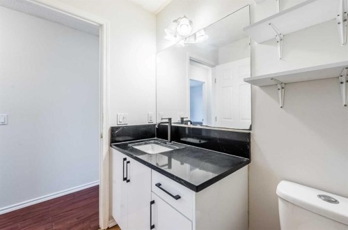 913 Taradale Drive Ne, Calgary, AB - Indoor Photo Showing Bathroom