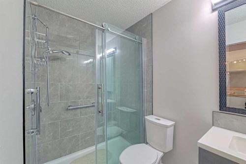 102 Coventry Crescent Ne, Calgary, AB - Indoor Photo Showing Bathroom