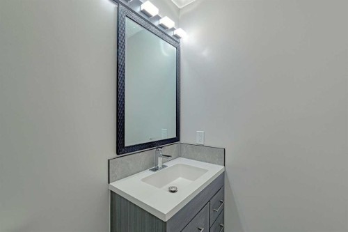 102 Coventry Crescent Ne, Calgary, AB - Indoor Photo Showing Bathroom