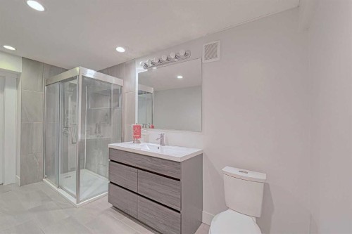 102 Coventry Crescent Ne, Calgary, AB - Indoor Photo Showing Bathroom