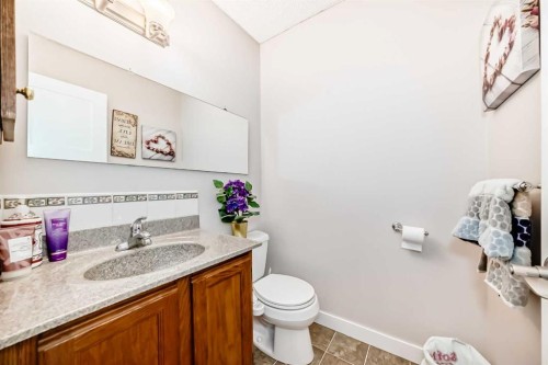 19 Mchugh Place Ne, Calgary, AB - Indoor Photo Showing Bathroom
