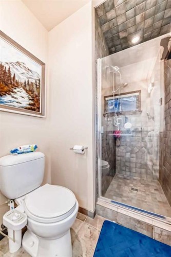 19 Mchugh Place Ne, Calgary, AB - Indoor Photo Showing Bathroom