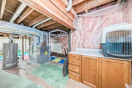 19 Mchugh Place Ne, Calgary, AB - Indoor Photo Showing Basement
