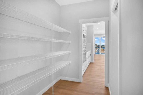 239 Chelsea  Park, Chestermere, AB - Indoor With Storage