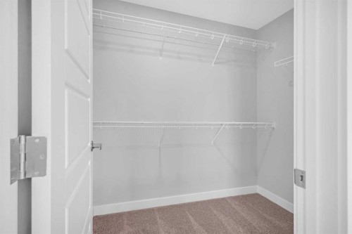 239 Chelsea  Park, Chestermere, AB - Indoor With Storage
