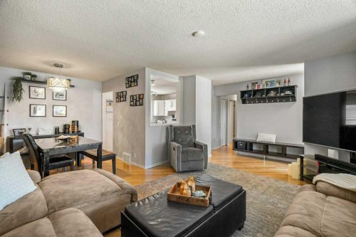 159 Rundlehorn Crescent Ne, Calgary, AB - Indoor Photo Showing Living Room