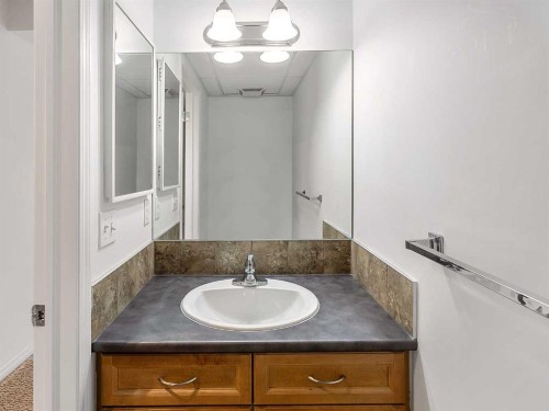 16-21 Mckenzie Towne Gate Se, Calgary, AB - Indoor Photo Showing Bathroom