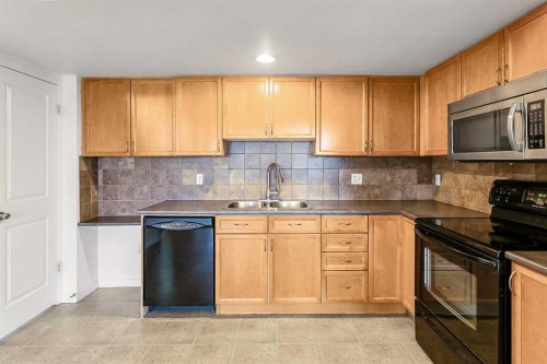 16-21 Mckenzie Towne Gate Se, Calgary, AB - Indoor Photo Showing Kitchen With Double Sink