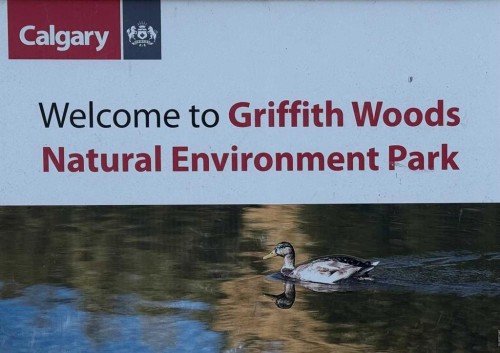 131 Discovery Ridge Way Sw, Calgary, AB -  With View